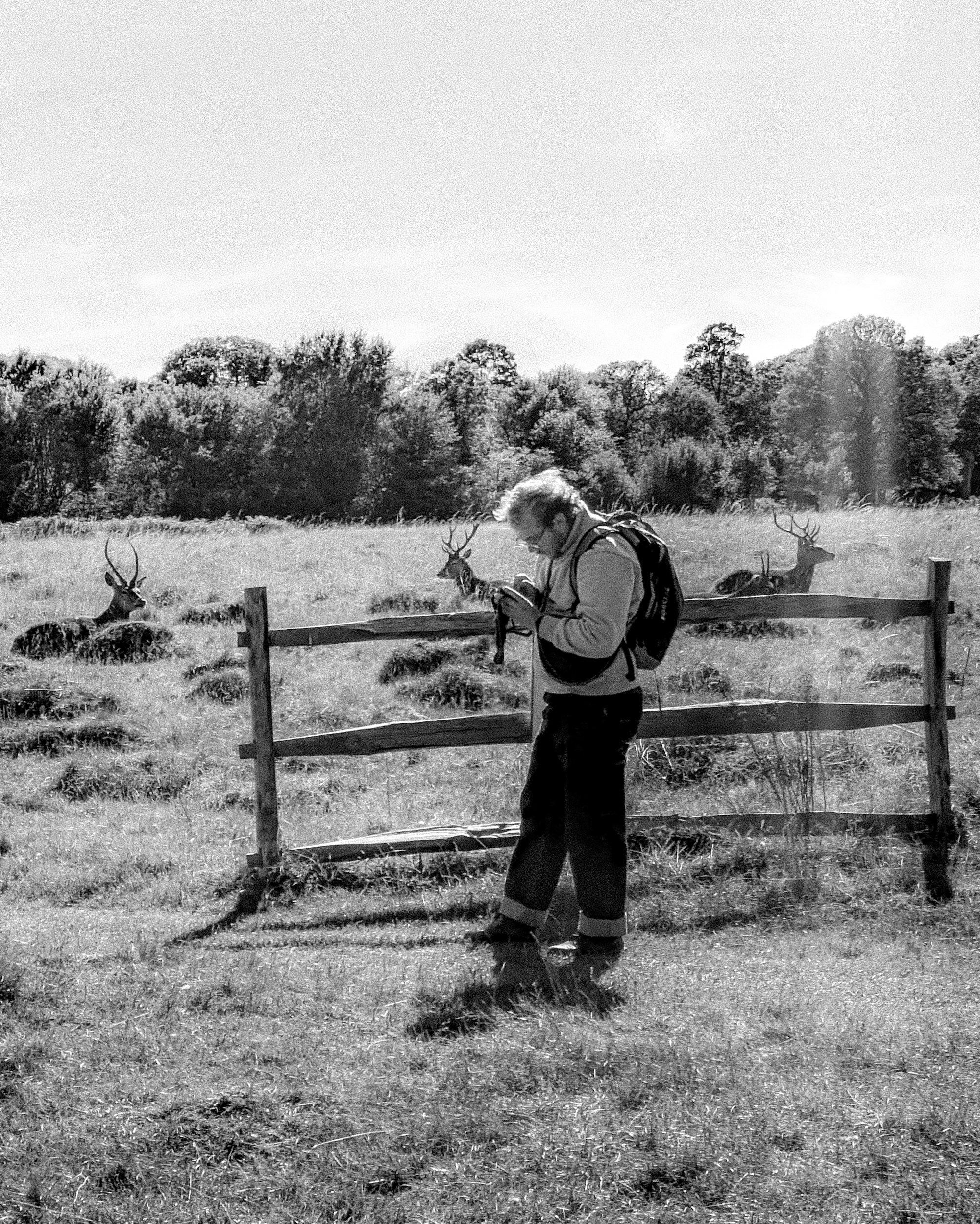 Pierre Bouchet Profile